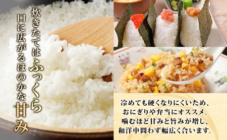 吉幾三 青森県西目屋村産 幾三米 4kg お米 米 こめ コメ 備蓄 備蓄米 白米 白飯 主食 ご飯 ごはん 国産 日本産 国産米 おにぎり お弁当 弁当 和食 洋食 中華 甘い ふっくら やわらか 
