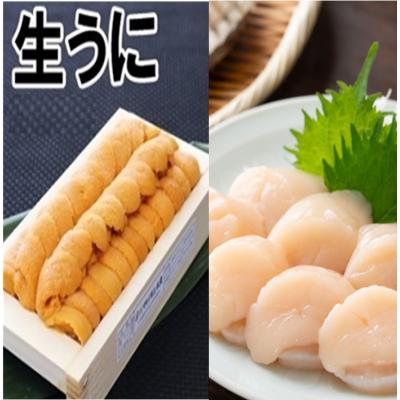 ふるさと納税 根室市 ウニ100g×1折、お刺身ホタテ貝柱500g×1P[11月中旬以降発送] D-71061