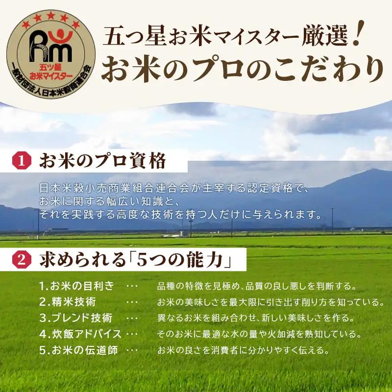 無洗米 訳あり がばいU米 令和7年産 佐賀県産 無洗米【10kg(5kg×2袋)】【定期便 3ヶ月】
