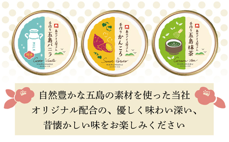 【全6回定期便】アイス3種 計12個[RAX018] アイス スイーツ お菓子 定期便 アイス スイーツ お菓子 定期便 アイス スイーツ お菓子 定期便九州 長崎