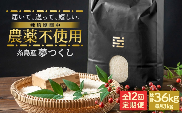 
                  【全12回定期便】農薬を使わずに育てた 山つき 3kg 夢つくし 吉富町/(株)やました [BGBX012]
                