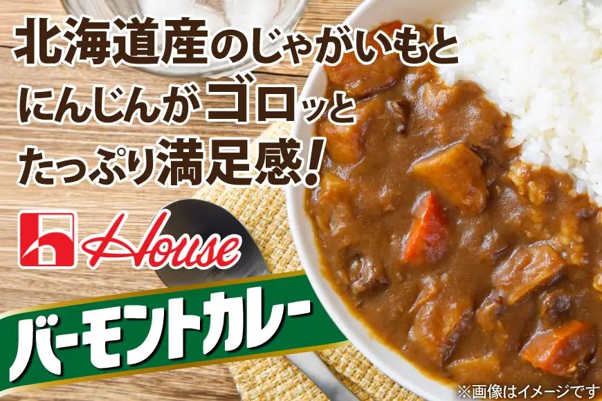 カレー レトルト ハウス バーモントカレー 中辛 200g 10個