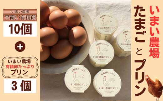 【ふるさと納税】平飼い 有精卵 10個 と プリン 3個　いまい農場　セット 国産 濃厚 卵 たまご 有精卵 デザート スイーツ スィーツ 贈り物 兵庫県 宍粟市 しそうし BQ2
