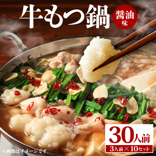 牛もつ鍋 醤油味 30人前（3人前×10セット） PE004