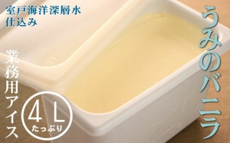 うみのバニラ４L 業務用アイス _mt007