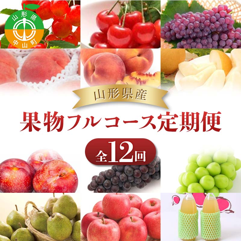 2025年度発送【定期便 12回】山形県産 果物フルコース定期便 くだもの フルーツ さくらんぼ 佐藤錦 紅秀峰 桃 もも すもも 和梨 豊水 幸水 秋姫 ぶどう シャインマスカット デラウェア スチューベン ラ・フランス ラフランス りんご 山形県 中山町 F4A-0492