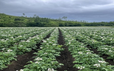 【2025年発送】オーガニックじゃがいも食べ比べ（おまかせ2種類）10kg 【AV-009】