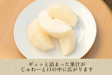 【2026年先行予約】【家庭用】和梨 豊水 3kg（6〜9玉）《9月上旬から順次発送》 ほうすい 梨