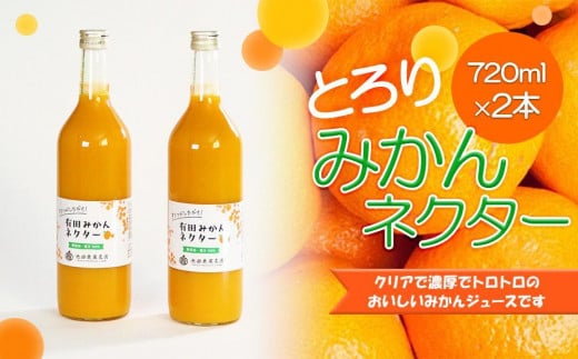 とろり みかんネクター 720ml×2本［IKE225］