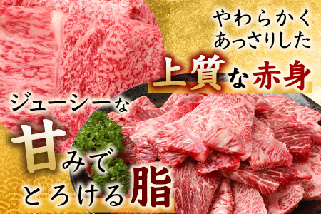 佐賀牛 焼肉セット 600g BBQ バーベキュー 焼き肉 バラ モモ D-191