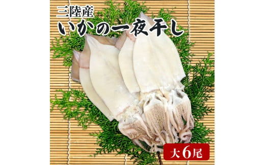 
いか 一夜干し 大 6尾 イカ 烏賊 魚介類 三陸 冷凍 つまみ 釣り 丸干し 干物 おつまみ 父の日
