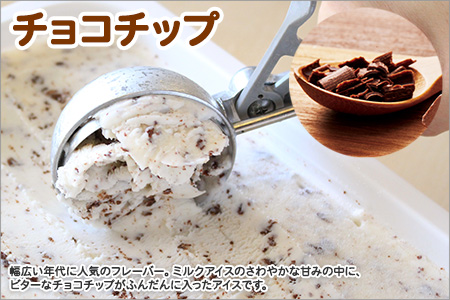 598.アイスクリーム チョコチップ ジェラート チョコ 業務用 2リットル 2L アイス 大容量  手作り 北海道 弟子屈町