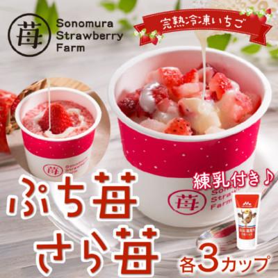 ふるさと納税 宇土市 熊本県宇土産 完熟冷凍いちご「ぷち苺・さら苺」3x3カップ 練乳付き 園村苺園