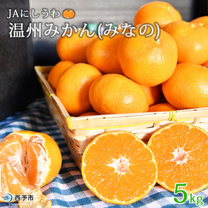 JAにしうわ 温州みかん「みなの」５kg ONN0001