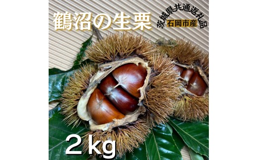 石岡鶴沼の 生栗　2kg（茨城県共通返礼品・石岡市産） / 栗 くり クリ 生栗 和栗 2kg 秋の味覚 利根町 送料無料