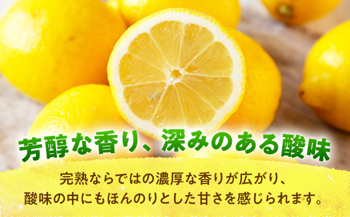 【先行予約】【数量限定】浦賀産 黄色レモン 5kg【ファーマシーガーデン浦賀】 [AKBG002]