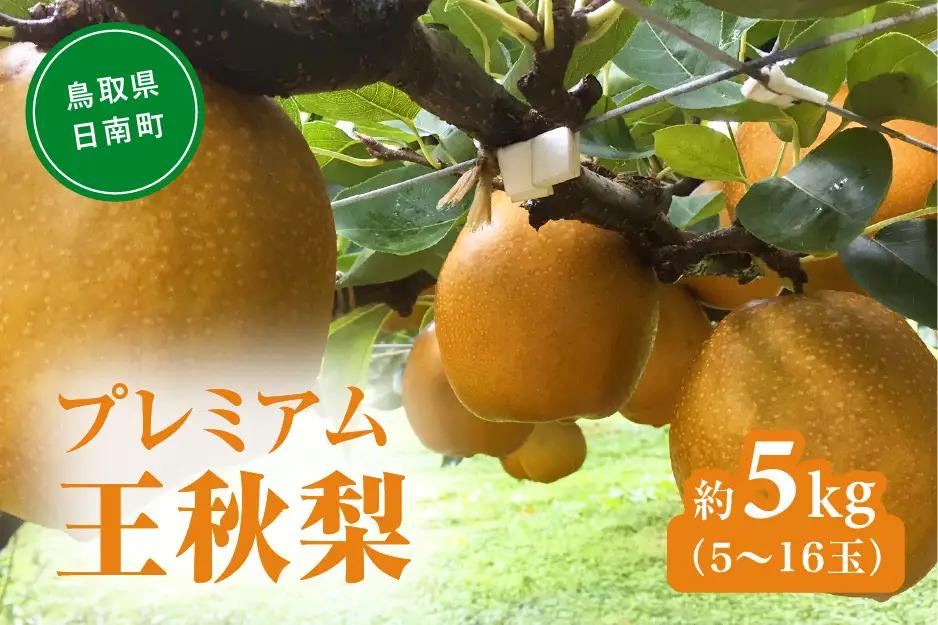 プレミアム王秋梨 5kg(5～16玉前後) 梨 なし 果物 フルーツ 日南町 高間商店