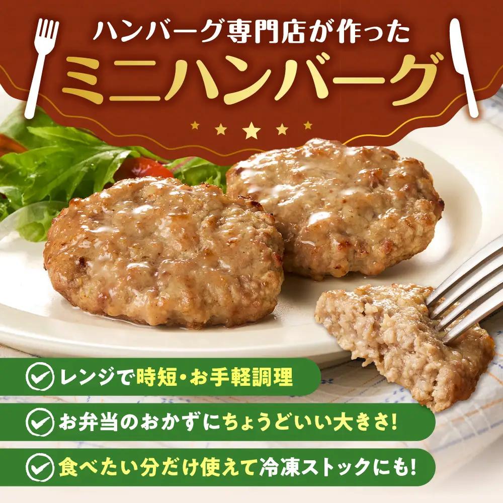 【専門店】のミニ ハンバーグ 20枚｜ファイヤーバーグ 人気 お弁当 おかず 北海道 石狩市