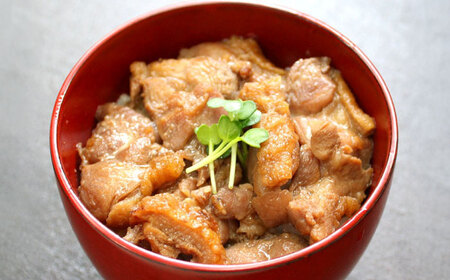【全6回定期便】【冷凍】合鴨親子丼の素・合鴨テリヤキ丼の素 各6 計12パックセット　滋賀県長浜市/株式会社 一湖房[AQCB025]
