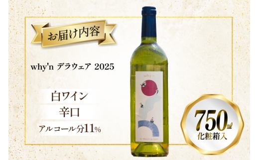 ワイン 白 why'n デラウェア 2025 750mL 1本 [oboco grapes 山形県 高畠町 tk06ayt250010] デラウェア 辛口 わいん 日本ワイン 国産 ぶどう 果実酒 W