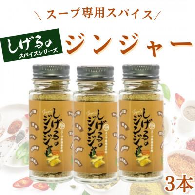 ふるさと納税 諫早市 「しげるのジンジャー」スープ専用スパイス3本セット