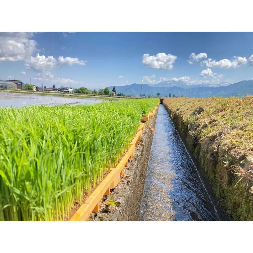 【令和8年・新米予約・定期便】新潟県南魚沼市の豊かな自然が育んだ、極上のコシヒカリ　2kg×12か月【2026年9月下旬より1ヶ月以内に順次発送予定】｜コシヒカリ