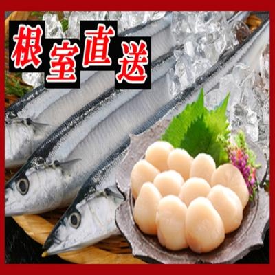 ふるさと納税 根室市 冷凍生さんま5尾×2P、ほたて貝柱200g×1P A-30033