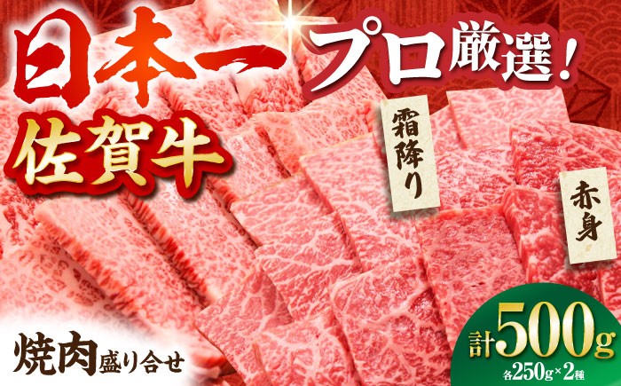 
                  ＜お盆にお届け対象＞【農林水産大臣賞】 佐賀牛 焼肉 盛り合わせ 500g（霜降り・赤身 各250g）【田中畜産牛肉店】 黒毛和牛 バーベキュー BBQ [HBH160]
                