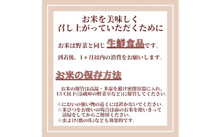 定期便 6回 無洗米 佐賀県産 さがびより 6kg (3kg×2袋) 五つ星お米マイスター厳選 ご飯 お米 コメ こめ ※配送不可：離島