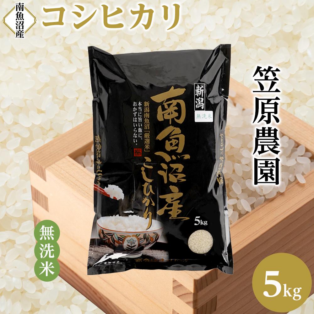 【ふるさと納税】【新米】【令和7年産／令和7年（2025年）10月上旬より順次発送】南魚沼産コシヒカリ無洗米5kg | 送料無料 コシヒカリ 魚沼 新潟県産 新潟県 南魚沼市 精米 産直 産地直送 お取り寄せ お楽しみ 米 5kg お米 白米 無洗米