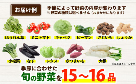 合志の旬のお野菜セット 15〜16品【一般社団法人クラッシーノこうし】[AYAB112]