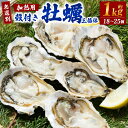 【ふるさと納税】【無選別】加熱用 殻付き牡蠣 約1kg （18～25個） 三倍体 ｜ 牡蠣 かき カキ 殻付き 加熱用 調理用 焼き牡蠣 蒸し牡蠣 牡蠣鍋 カキフライ 牡蠣の酒蒸し 魚介 海鮮 BBQ バーベキュー 国産 大阪府 阪南市 送料無料