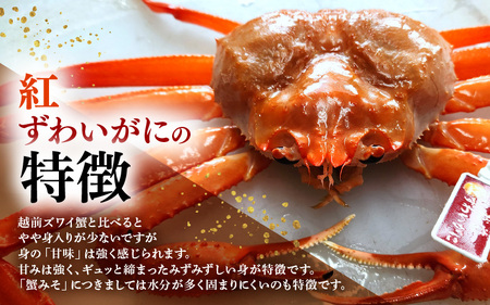 ≪浜茹で≫越前産 紅ずわいがに × 1杯（生で約750g～850g）【2月発送分】【紅ズワイガニ カニ かに 蟹】【紅ずわいがに】希望日指定不可 [e80-x002_02]