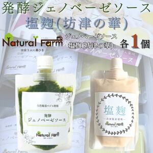 発酵ジェノベーゼソース＆塩麹　各1パックセット A1-7【配送不可地域：離島】【1619065】
