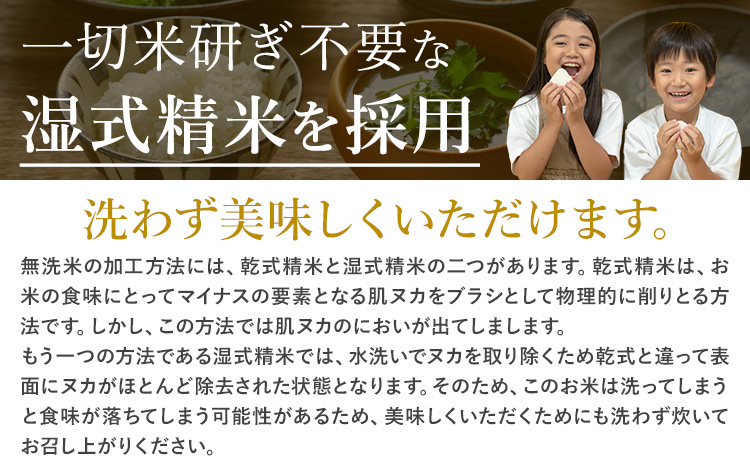 米 無洗米 早期先行予約受付中 訳あり 5kg 熊本県産 阿蘇びより《11月-12月頃出荷予定(土日祝除く)》 お米 熊本県 南阿蘇村 阿蘇---mna_aby_24_m_5kg_10000_af11