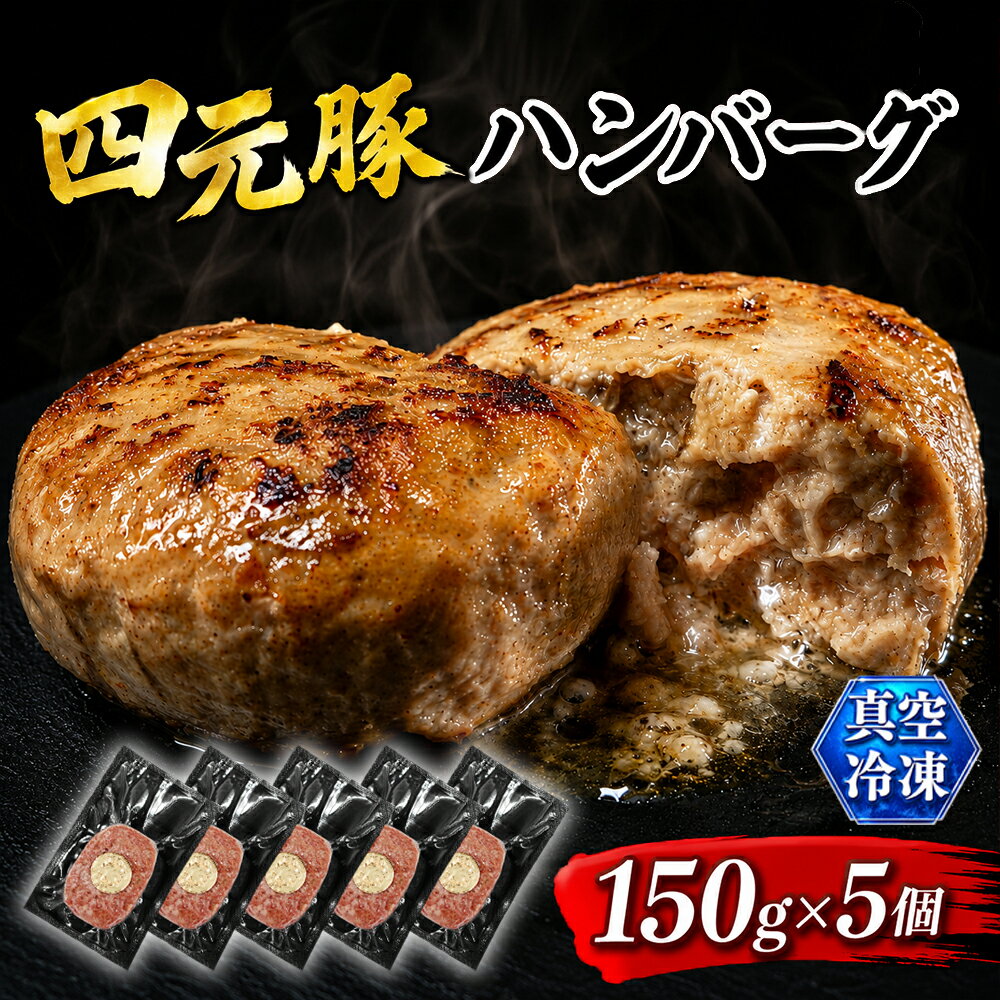 【ふるさと納税】 ありすぽーく ハンバーグ おすすめ 150g 5個 総量750g 四元豚 送料無料 お肉 加工品 豚肉 惣菜 総菜 洋風惣菜 おかず ランチ お弁当 弁当 便利 時短 時短調理 簡単 簡単調理 冷凍食品 小分け 個包装 家庭用 自宅用 国産 お取り寄せ 人気 豚 岩手県 滝沢市