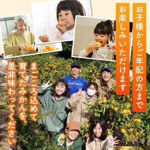 【先行予約】和歌山県産 ゆら早生みかん 約9kg  ※2025年10月中旬頃より順次発送予定 / 和歌山県 柑橘 みかん 甘い 蜜柑 フルーツ 果物 くだもの 食品 人気  晩柑 おすすめ 送料無料 