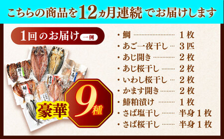 【12回定期便】欲ばり平戸ひもの三昧【有限会社　篠崎海産物店】[KAD125]/  長崎 平戸 魚介類 魚 干物 一夜干し 開き 鯛干物 あご干物 あじ干物 いわし干物 かます干物 干物 さわら干物 