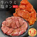 【ふるさと納税】熟成牛 やわらか ハラミ 味付 600g & 牛タン 塩タン 味付 600g 計1.2kg【自家製だれ付】＜お肉のスーパーやまむらや＞※着日指定不可