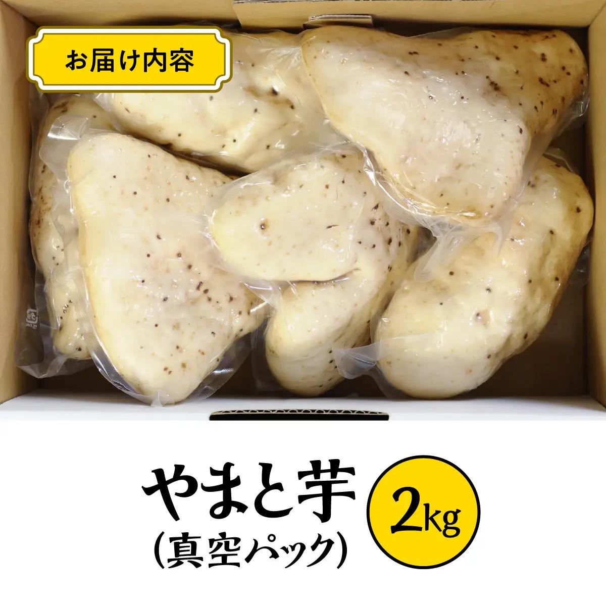 やまと芋の町 多古から「秋山農園のやまと芋」2kg_野菜 自然薯 根菜 じねんじょ ジネンジョ 【配送不可地域：離島・沖縄県】TAKF049