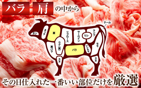 【A4〜A5】長崎和牛切り落とし　500g【株式会社 MEAT PLUS】[QBS005]