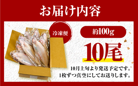 【先行受付/10月上旬より順次発送】 献上鰈 上品な味わい 若狭かれい一夜干し 約100g×10尾セット / 干物 魚介 冷凍 ギフト 小浜市 / まるほ商店 【配送不可地域：北海道・沖縄・離島】[B