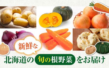 【11月上旬以降順次発送】【ニセコ町産】秋のうまいもん 6種セット《喜茂別町》【ニセコビュープラザ直売会協同組合】 先行予約 セット 詰め合わせ 秋野菜　冬野菜 季節の野菜 たまねぎ じゃがいも 先行