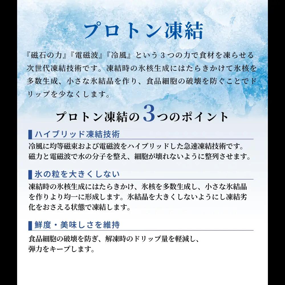 約1000g肩ロース肉すき焼き【11月中旬から発送開始】　氷温（R）熟成　飛騨牛A5等級  プロトン凍結 [No.528]