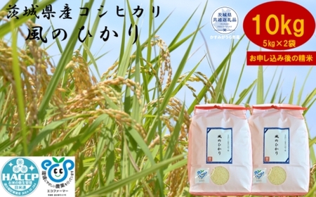 【令和7年度産】＼農家直送！出荷日精米／茨城県産 コシヒカリ 風のひかり 10kg 5kg×2袋 茨城県共通返礼品 かすみがうら市産 米 お米 白米 こめ 精米 取り寄せ 特産 ごはん ご飯 コメ お取り寄せ ギフト 贈り物 お弁当 弁当 おにぎり ふっくら ツヤツヤ 甘い 農家直送 産地直送 国産 茨城県産