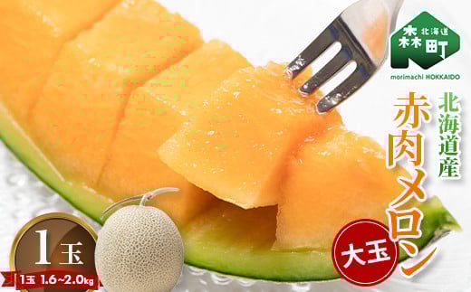 
            【先行予約】北海道森町産赤肉メロン大玉 1玉（約1.6～2kg）（2026年7月上旬～9月中旬頃に順次お届け）＜道産ネットミツハシ＞  森町 メロン 果物 赤肉 北海道産 ふるさと納税 北海道 mr1-0815
          