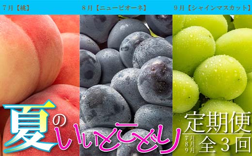 
                  夏のいいとこどり定期便【全3回】 《桃からスタート》果物 桃 ぶどう フルーツ 果汁 甘い 濃厚 風味 種なし マスカット ジューシー 人気 セット 詰合せ FAH-0064
                