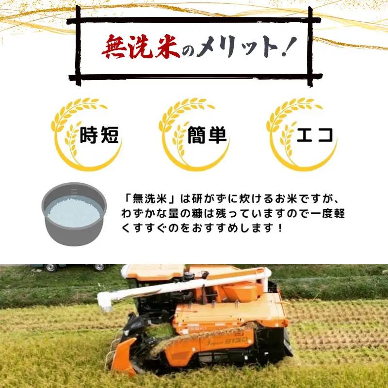 ササニシキ 特別栽培米 無洗米 秋田県産 ササニシキ【4kg(2kg×2袋)】【先行予約】