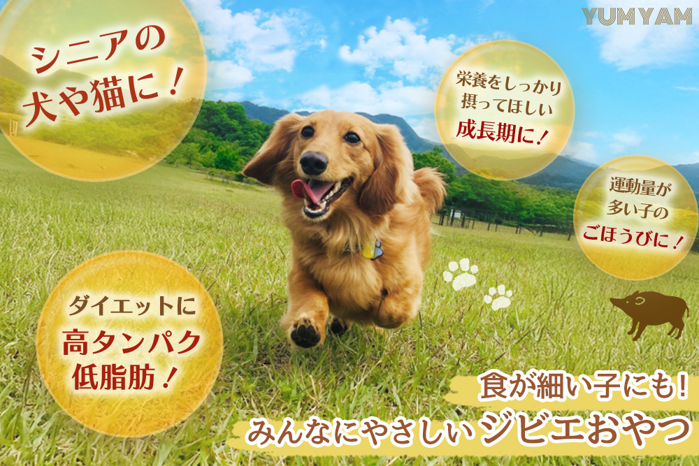 脊振ジビエの YUMYAM JERKYセット【ジビエ イノシシ ペットフード おやつ 低カロリー 高タンパク】(H121102)
