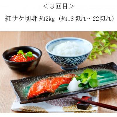 ふるさと納税 北山村 【毎月定期便】家族みんなで楽しめる! 絶品おかず定期便【tkb305】全4回 |  | 03